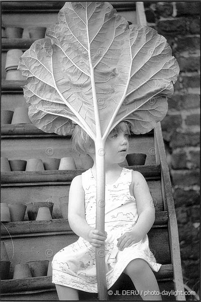 petite fille avec une rhubarbe - little girl with a rhubarb